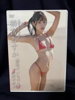 アイドル バラエティ