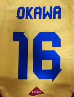 2025年最新】東レアローズの人気アイテム - メルカリ