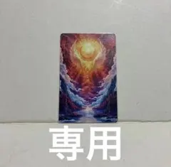 Raiden/らいでん　様　専用
