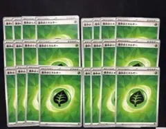 ポケモンカード　基本草エネルギー　基本くさエネルギー24枚　他色組合せOK