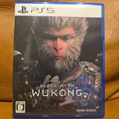 PS5 黒神話:悟空