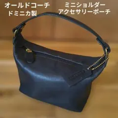 極美品 コーチ 2way ミニダーシー キャリーオール ハンドバッグ
