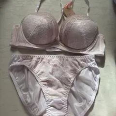トリンプ★ブラ&ショーツ★D65