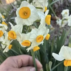 せさみ様 リクエスト 2点 まとめ商品