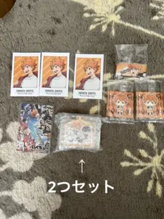 ハイキュー 日向翔陽 キャラポトレ アクリルキーホルダー シール まとめ売り