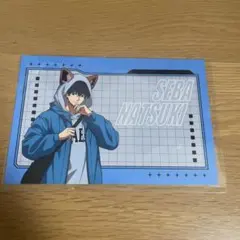 サカモトデイズ 動物パーカー 特典ポストカード 缶バッジ 勢羽夏生