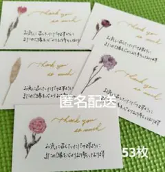 ★サンキューカード 手書き 53枚 No.0330