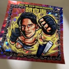 シルクザリッチ ブレイキングダウン シール 朝倉海　値下げしました