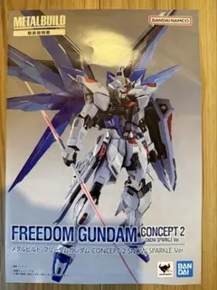 【説明書のみ】METALBUILD フリーダムガンダム SNOW SPARKLE