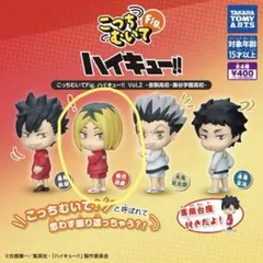 こっちむいて! Fig. ハイキュー!! Vol.2