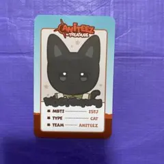 ATEEZ ウヨン ウヨニャン ANITEEZ POPUP ランダムトレカ 5