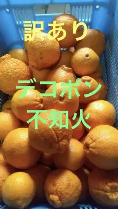 香川県　訳ありデコポン不知火　３キロのサムネイル