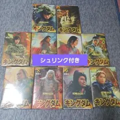 ヤングジャンプGOLD 付録 キングダム 48巻 コミック付き、カバー ヤングジャンプGOLD 付録 キングダム 48巻 コミックかけ替えカバー 未