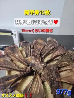 Item thumbnail for item 7c20c15b-96a4-4253-a28d-450686bed573