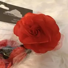 Item thumbnail for item 7d43f743-e738-4804-b2f5-20a7b4f2c746