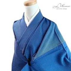 LULU6 着物 小紋 単衣 青 ドット柄 洗える着物 トールサイズのサムネイル
