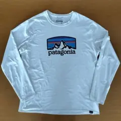 Patagoniaロングスリーブ キャプリーン クールデイリーグラフィックシャツ