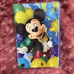 【新品未使用】ディズニー　イマジニングザマジック　コレクションカードホルダー