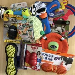 犬用おもちゃ コング Lサイズ デンタルウァバ ナーフドッグ フリスビー