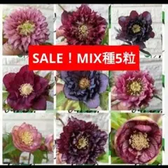 kaya様 リクエスト 6点 まとめ商品