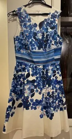 Item thumbnail for item 93c4a19d-391d-4c25-aa84-19d6ff13370f