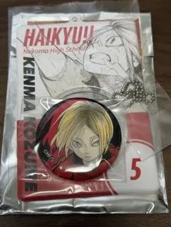 ハイキュー 缶バッジ＆特製ホルダーコレクション 研磨