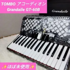 2025年最新】TOMBO Grandaile GT-60の人気アイテム - メルカリ