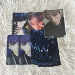 ini フェンファン トレカ the view