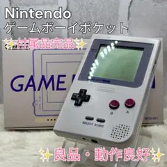 ✨良品・動作良好✨Nintendo ゲームボーイポケット　付属品完品