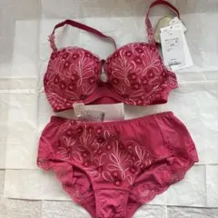 新品】パルファージュ18S♪フェアリーブラE65&ショーツM レース