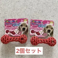 カムガムアミーバー　ダンベルSサイズ2個セットのサムネイル