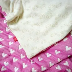 【済】1枚。naasuke様専用♥１名様限定♥みかん*気まぐれセミオーダー♥特大