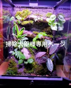 2025年最新】グラステラリウム 3045の人気アイテム - メルカリ