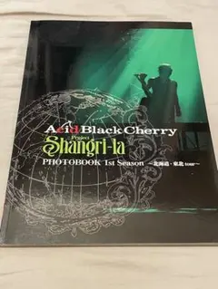 2026年最新】acid black cherry 写真の人気アイテム - メルカリ