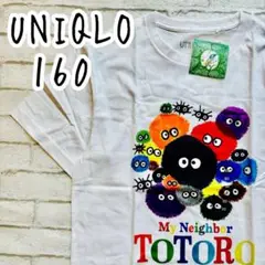 海外限定 日本未発売 UNIQLO ユニクロ となりのトトロ まっくろくろすけ