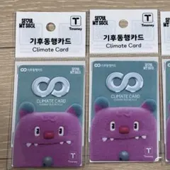新品　韓国　気候同行カード　ヘッチ　地下鉄　交通カード　ヘチ　2枚セット