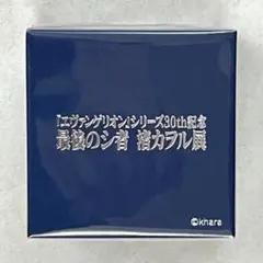 エヴァンゲリオン 渚カヲル展 DSSチョーカー風リング・特典のしおり&ノート DSSチョーカー風リング | 『エヴァンゲリオン』シリーズ30th記念 最後