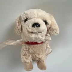 AURORA 子犬 ぬいぐるみ