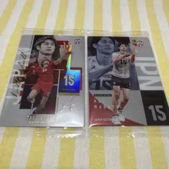 男子バレー ウエハース 甲斐
