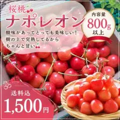 山形県産【 ナポレオン 】800g以上！のサムネイル