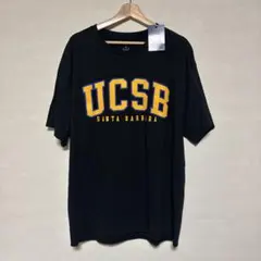 ChampionUCSB サンタバーバラ校 カリフォルニア大学Tシャツ XL