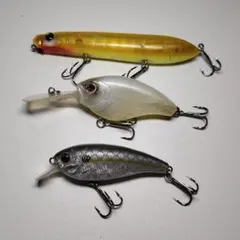 エバーグリーンセットのサムネイル