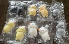 猫スクイーズ　まとめ売り