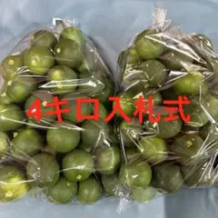 ハウススダチ　家庭用　4キロ 入札式のサムネイル