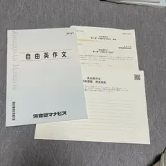 河合塾マナビス 自由英作文