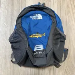 ノースフェイスのみ