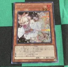 遊戯王 灰流うらら