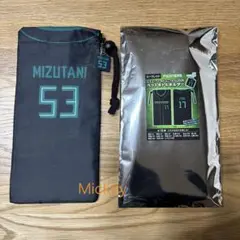 ◾️ファイターズ　ペットボトルホルダー　水谷瞬