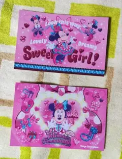 ディズニーランド　パルパルーザ　ミニーのファンダーランド　ポストカード2枚