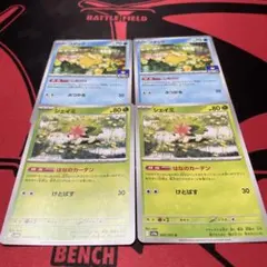 コダック シェイミ ポケモンカードセット